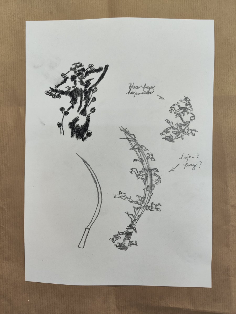 Alejandro Alvarez tweet media