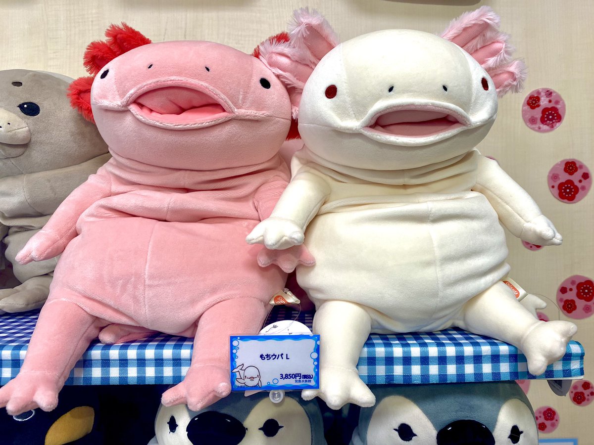 ウーパールーパーぬいぐるみ もちうぱ ホワイト Lサイズ ウーパールーパー ぬいぐるみ シナダ