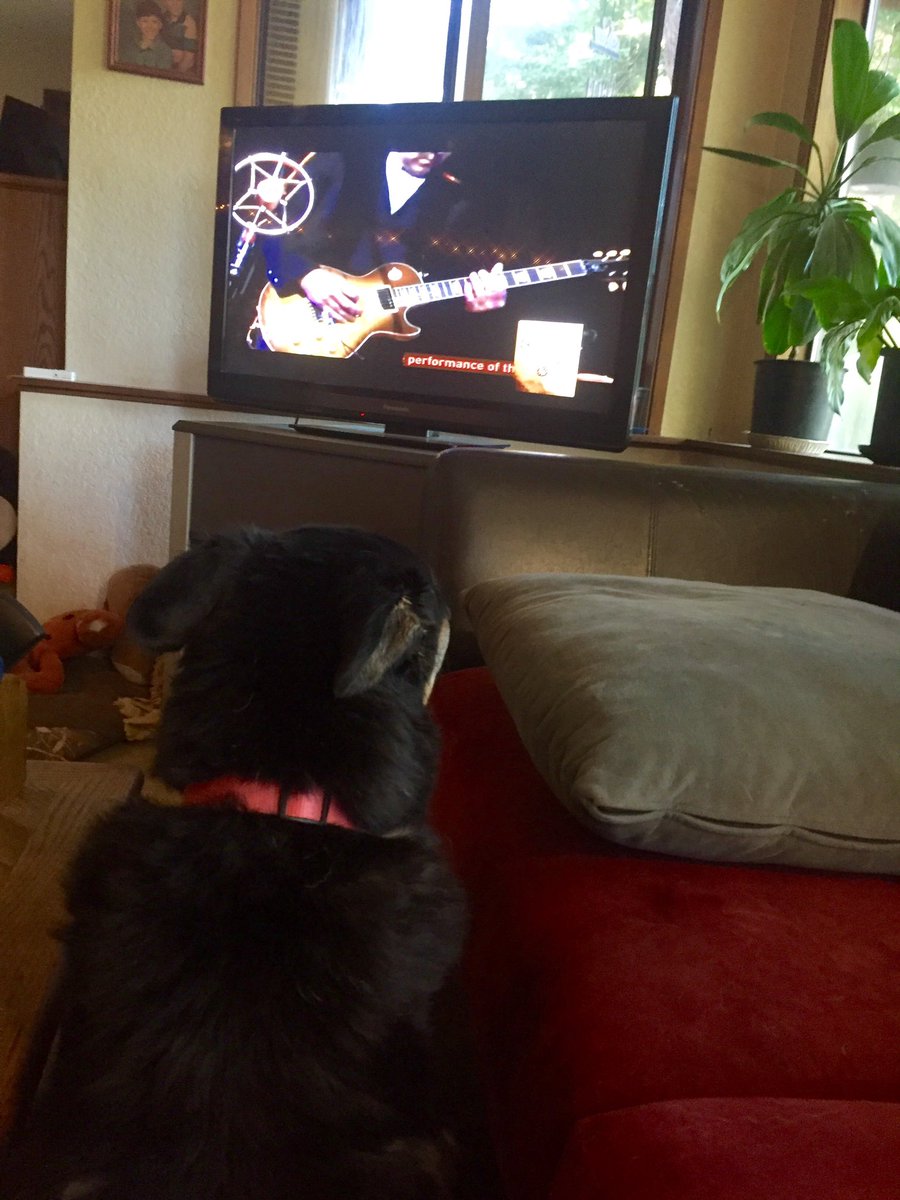 DebbieCulwell's tweet photo. @DatelineNBCProd @DatelineNBC My late husband and I rescued many dogs over the years. This was Maxine. She was old, deaf, and crippled when we adopted her. We had her only two years, but gave her the best. Even though she was deaf, she loved @rushtheband. Deaf dogs rock in more ways than one. #DogsofDateline https://t.co/eZtzgWgySV