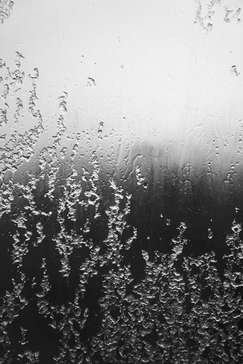 Bachblatt tweet media