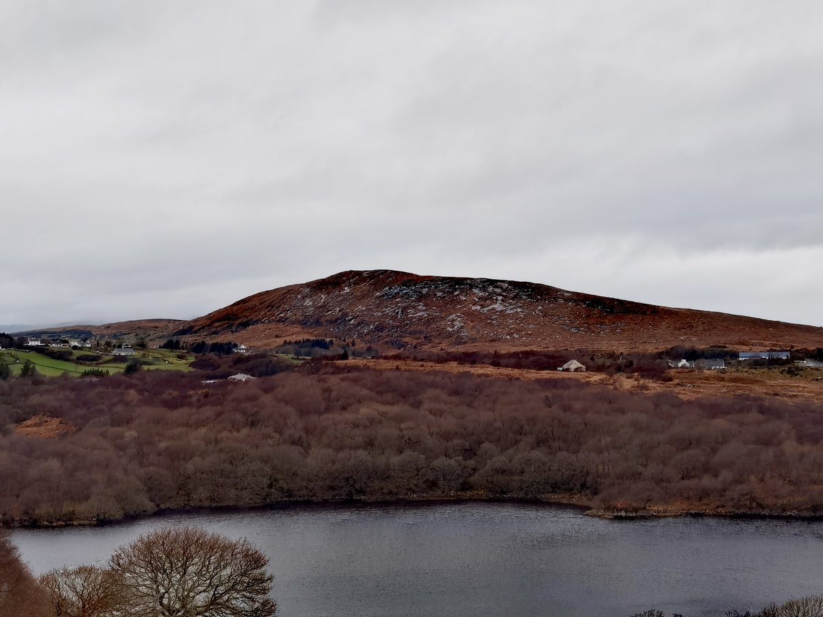 Gweebarra Conservation Group (@gweebarrag) on Twitter photo <a href="/GweebarraG/">Gweebarra Conservation Group</a> @hometree__ <a href="/NativeWoodTrust/">Native Woodland Trust</a> We need wild places for wildlife. Native woods on the Gweebarra River, #Donegal, Ireland. These woods are reserved for wildlife, not humans!
#BiodiversityCrisis <a href="/GweebarraG/">Gweebarra Conservation Group</a> @hometree__ <a href="/NativeWoodTrust/">Native Woodland Trust</a> We need wild places for wildlife. Native woods on the Gweebarra River, #Donegal, Ireland. These woods are reserved for wildlife, not humans!
#BiodiversityCrisis