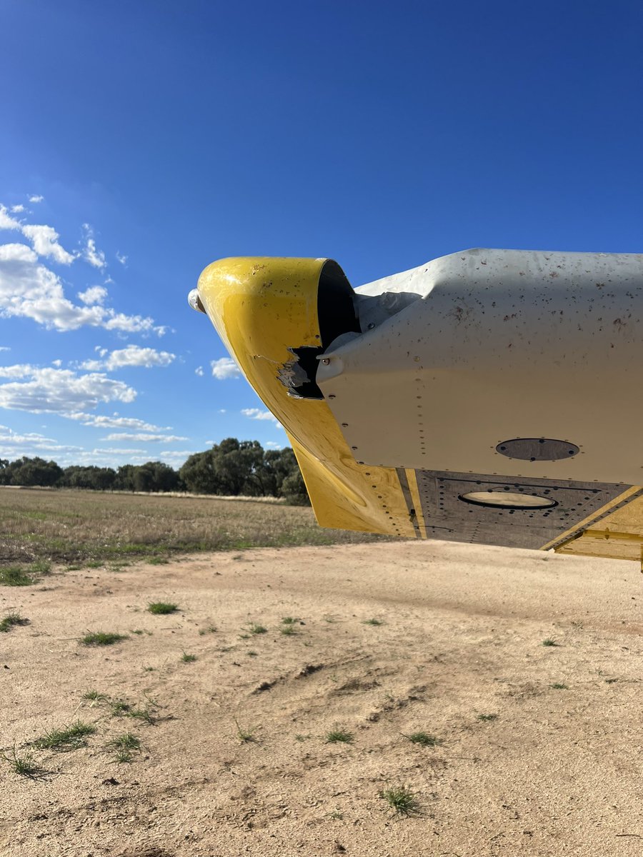 Sam Sleigh tweet media