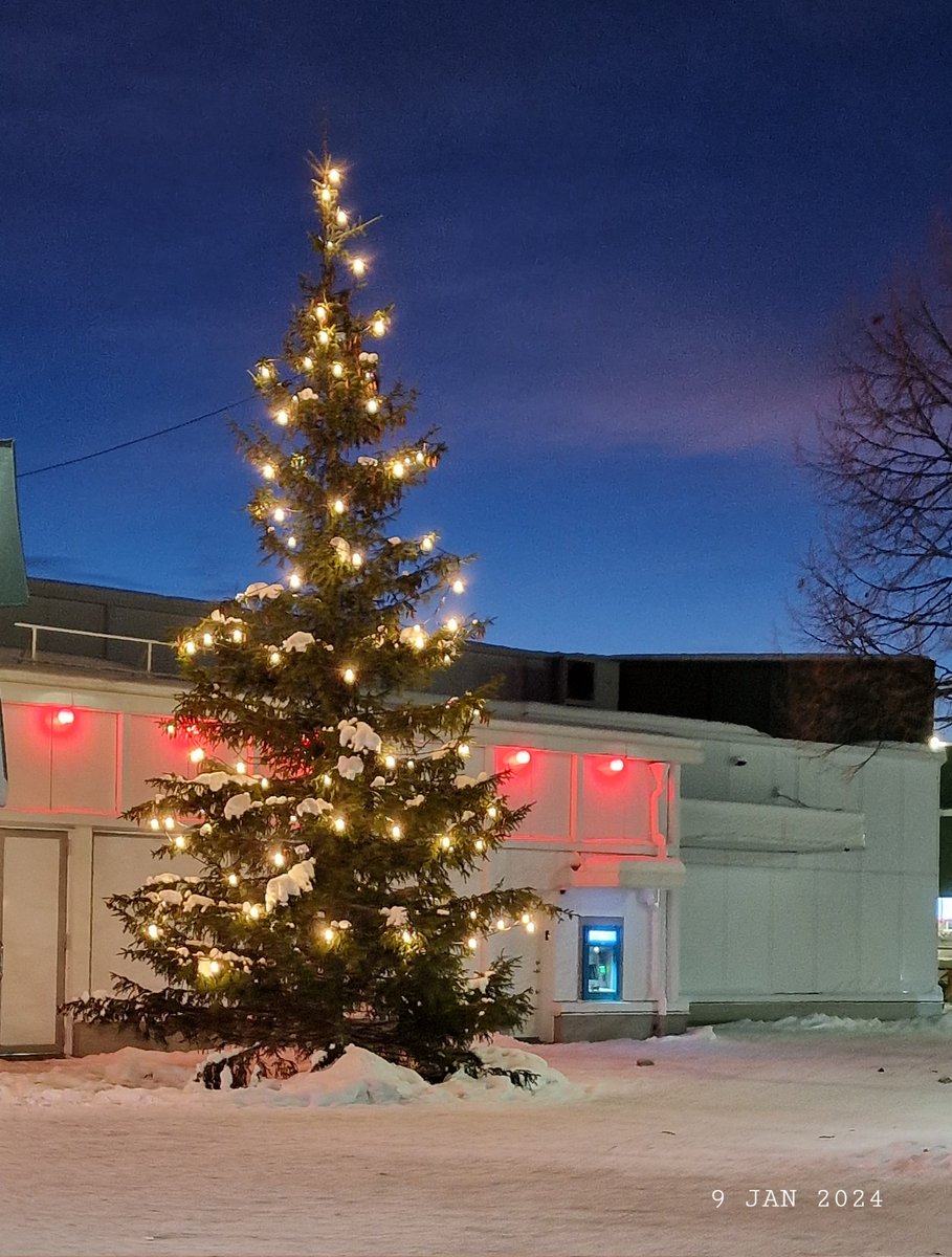 IDadzkov's tweet photo. Cristmas tree.
Со старым Новым годом!
#nature #CristmasTree #winter #snow #WinterPhoto https://t.co/vERNERdWun