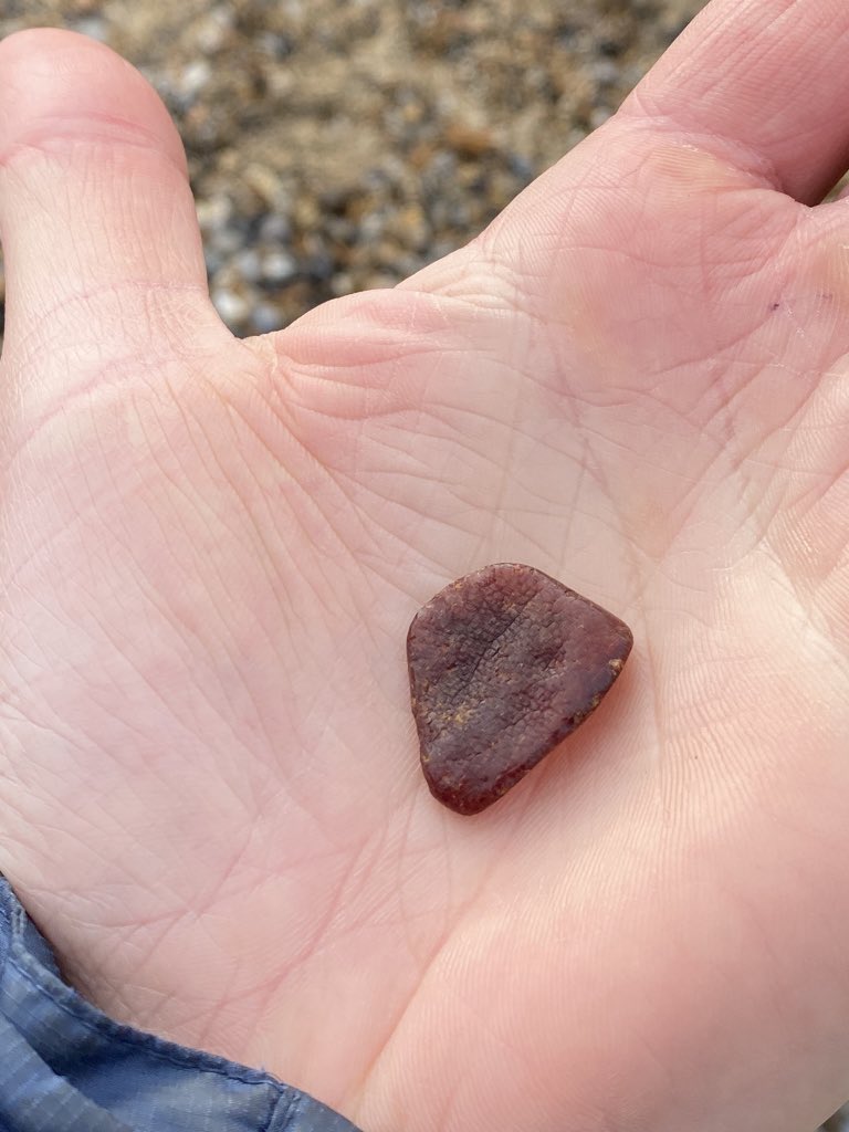 Harry Read tweet media