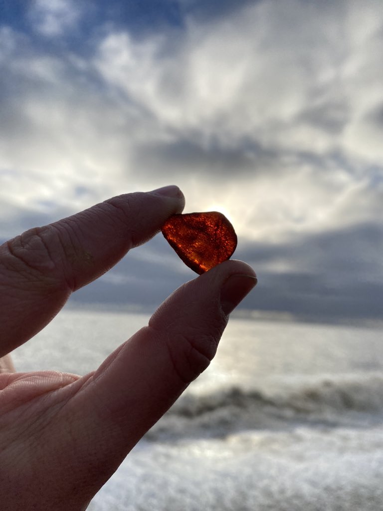 Harry Read tweet media