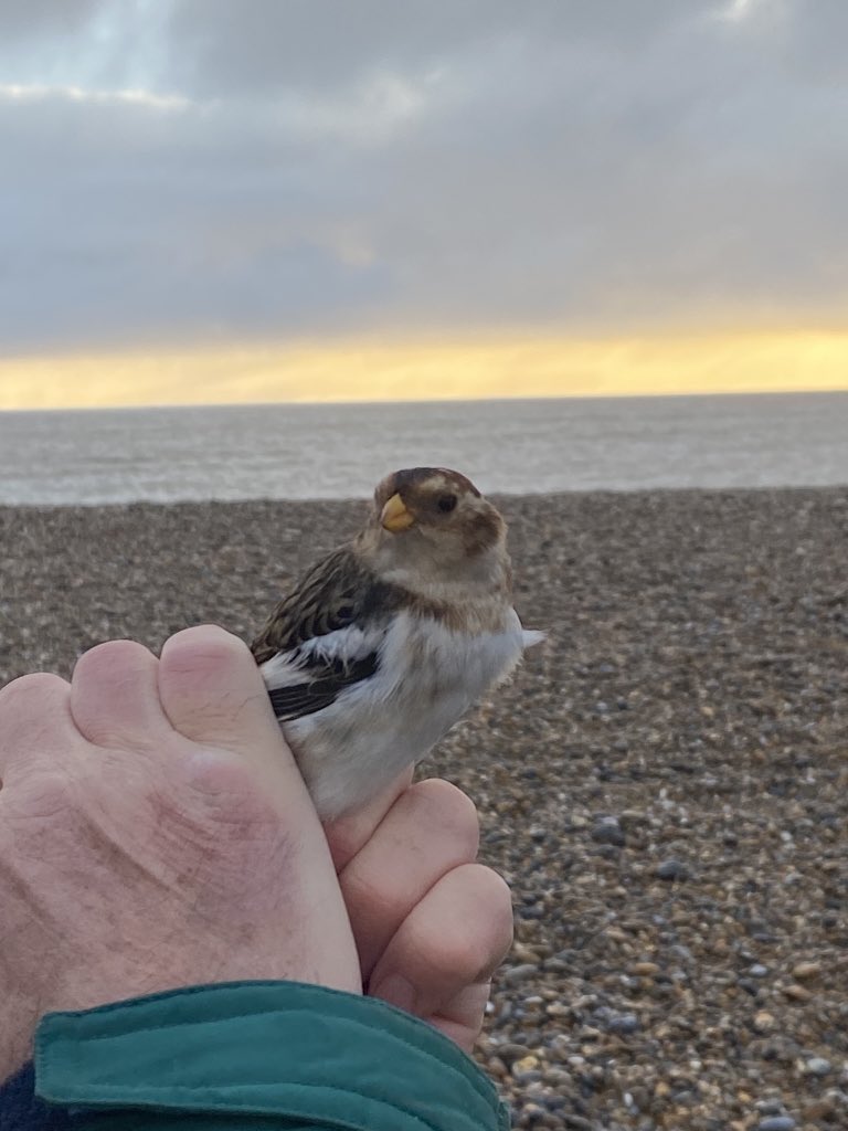 Harry Read tweet media