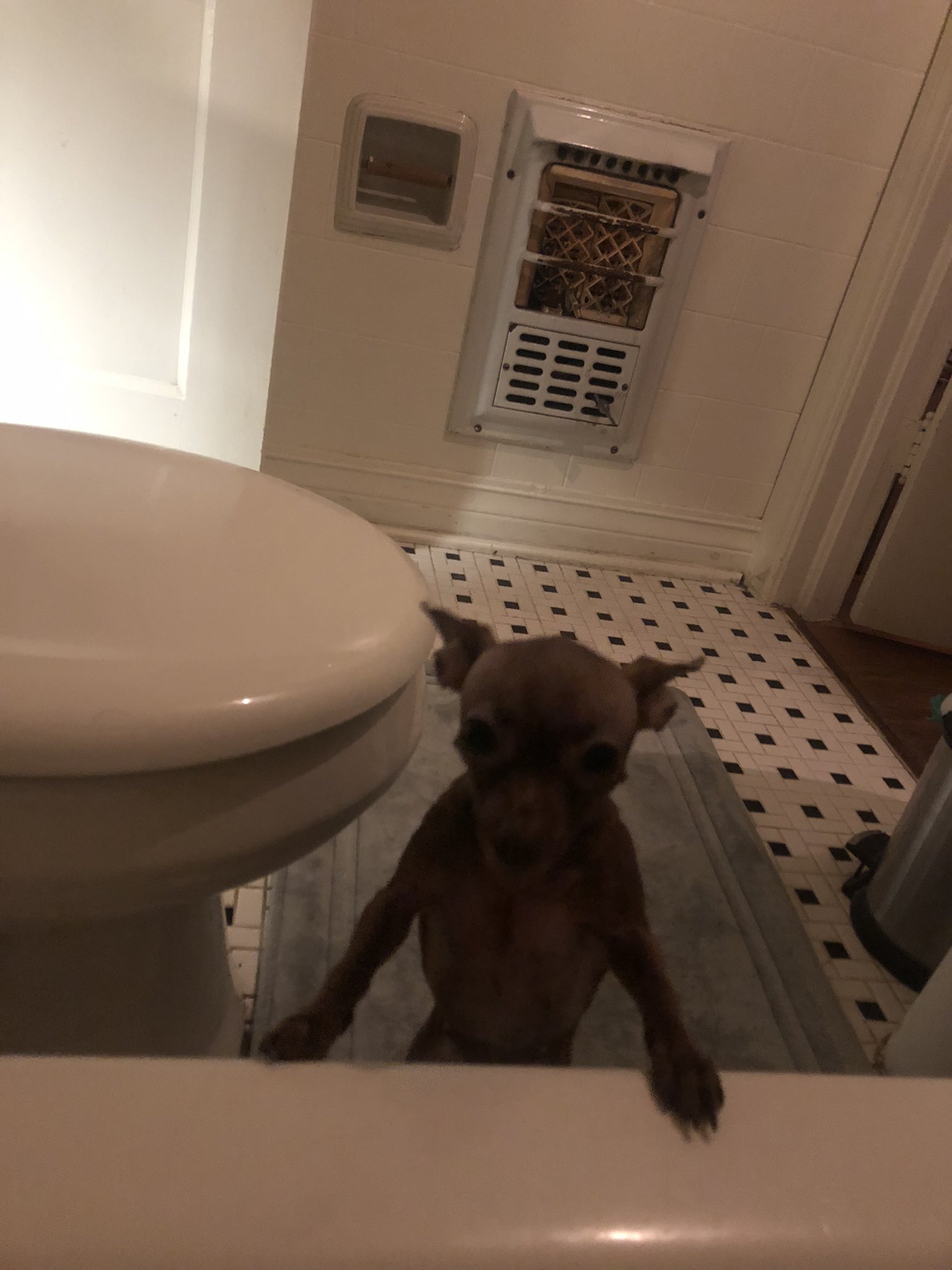 SHEOFFBEOFF on X: “someones skin is getting peeled off tonight im 