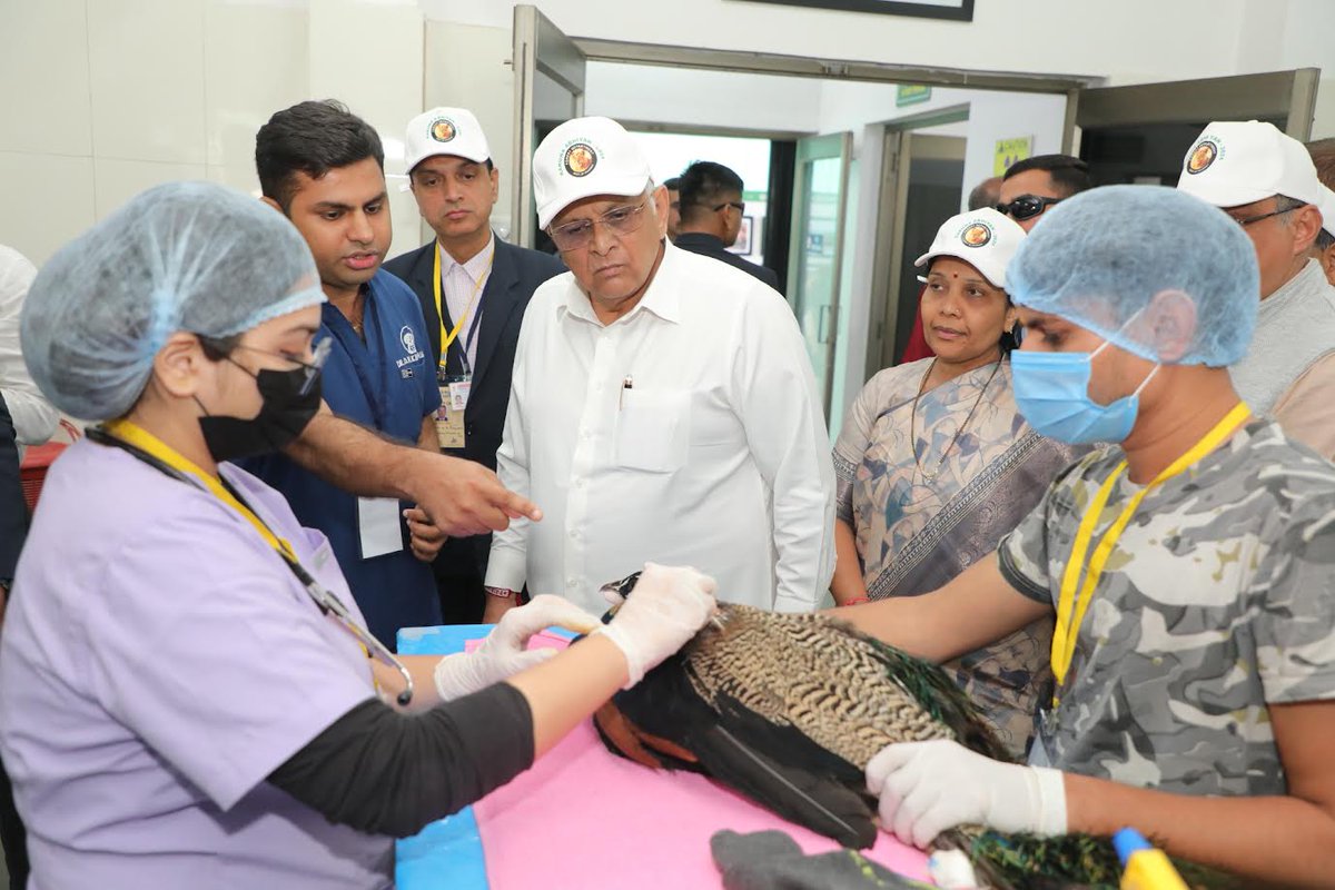 Karuna Abhiyan: Gujarat CM visits Birds rescue and treatment facility in Bodakdev