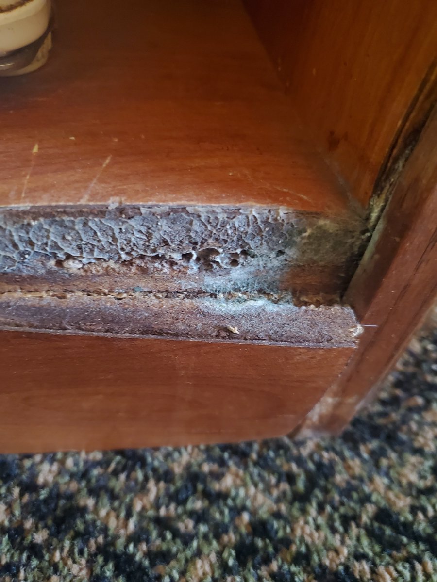 Jason Guthner tweet media