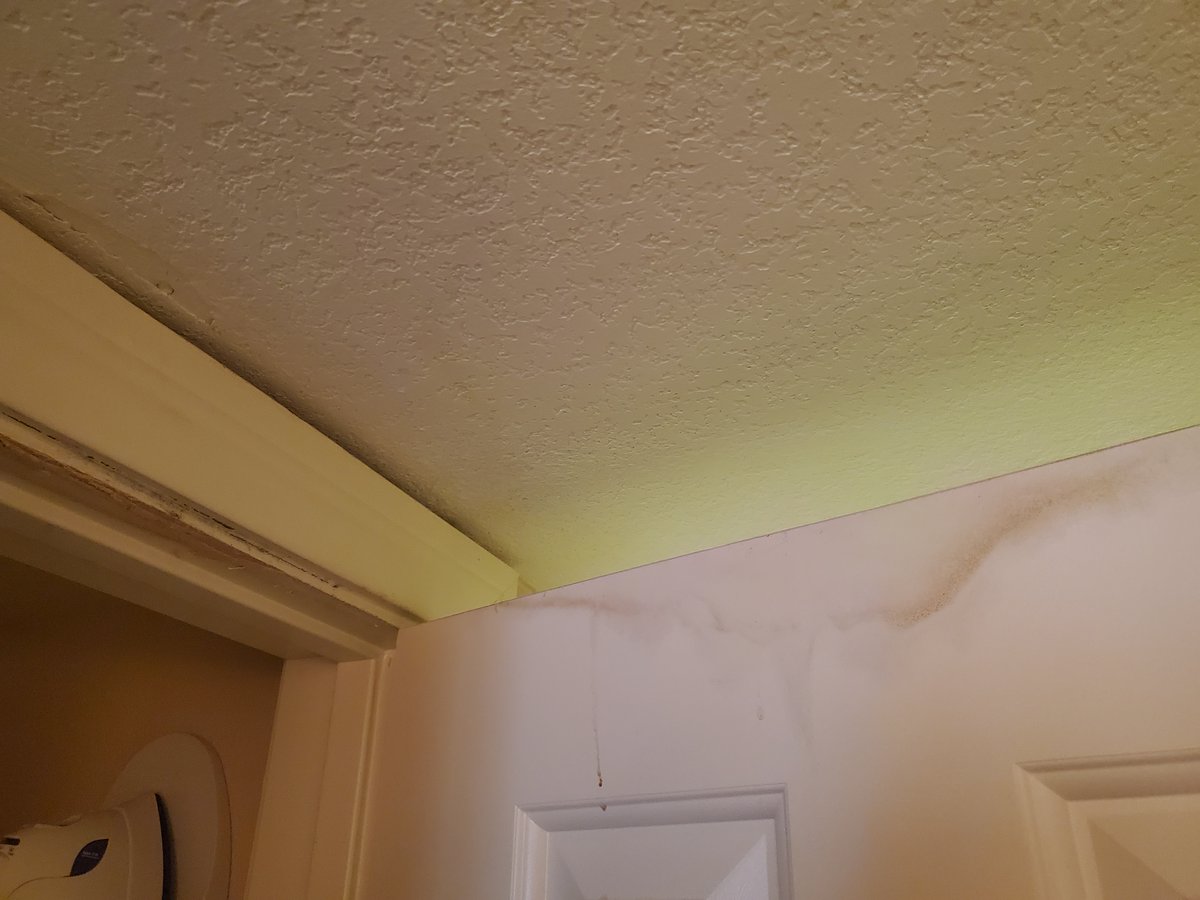 Jason Guthner tweet media