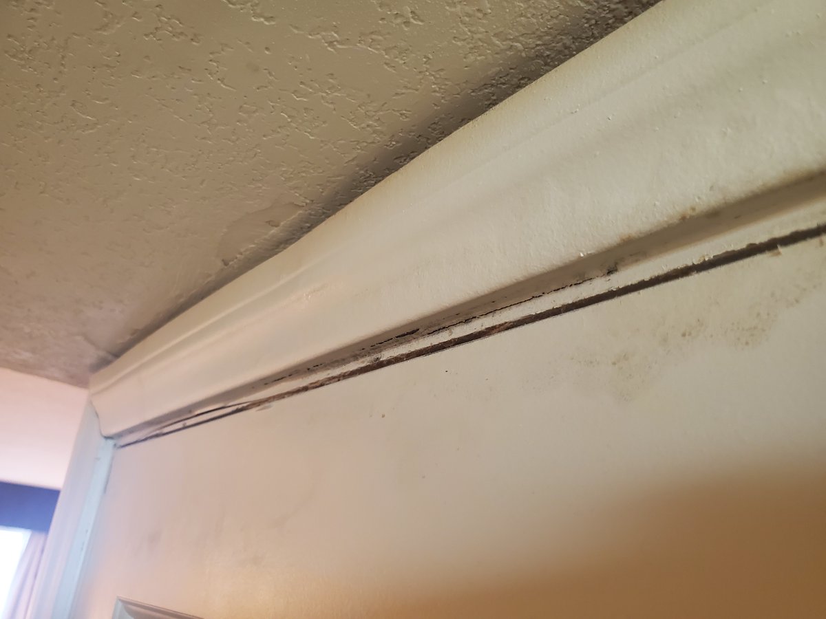 Jason Guthner tweet media