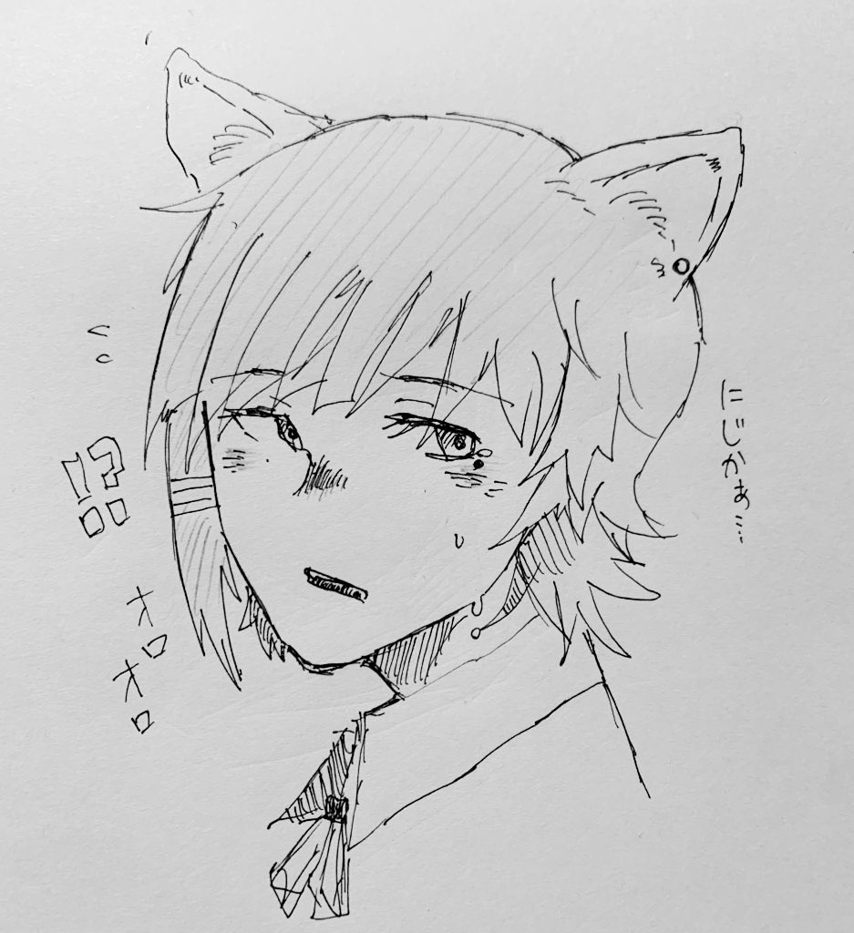 kodama_4949's tweet photo. 🐱⛰ https://t.co/c0EpNrCRN1