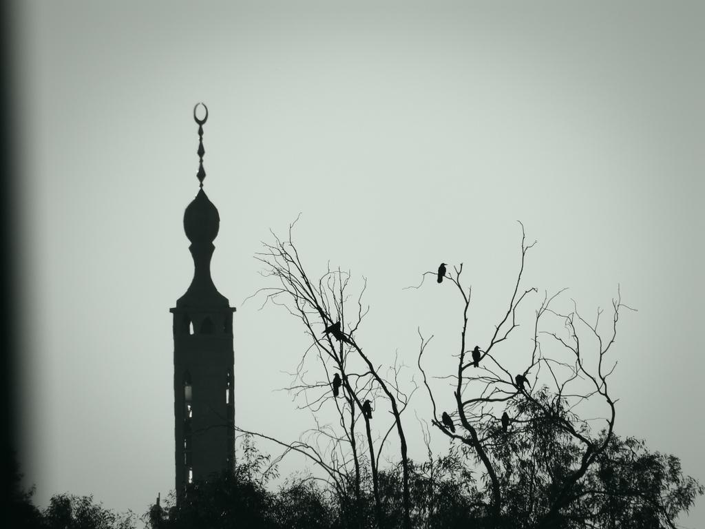 Cekdaroo1995's tweet photo. Îro hinek wêne ji bajarê #Raqqa https://t.co/dZWGt94Tmr