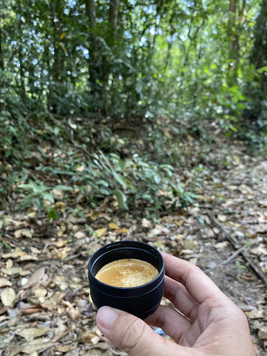 Tôi có một ước mơ đó là:
Mang in tờ nét lên núi 💩

P/s: có ly cafe ngon muốn khoe mà phải đợi xuống núi 😂

Vạn Chấn Tử