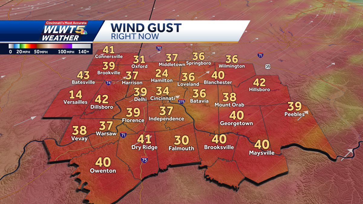 Katie Donovan WLWT tweet media