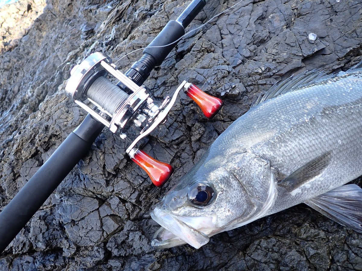 fishyuta927's tweet image. 多忙過ぎてしばらく釣りから離れてましたが、ようやく磯へ行けました！
ベイトヒラ最高✨
 #DIVISER
 #Hooze