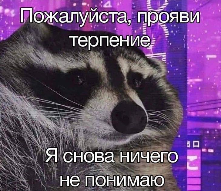 plusha_huyusha's tweet photo. буквально я на каждом занятии по японскому https://t.co/o3d66AhAOp