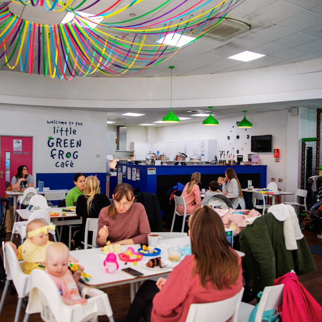 Little Green Frog tweet media