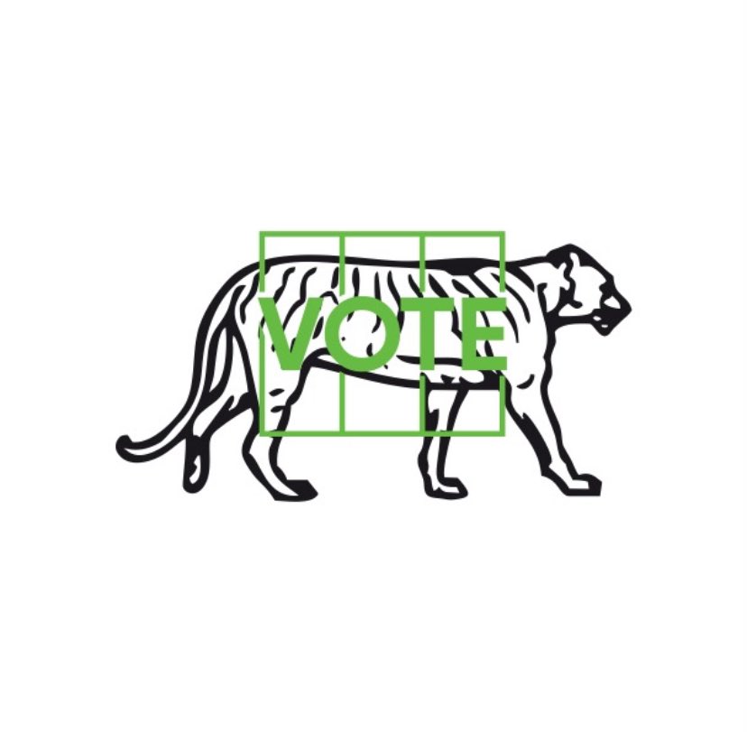 Mustafa Bashir tweet media