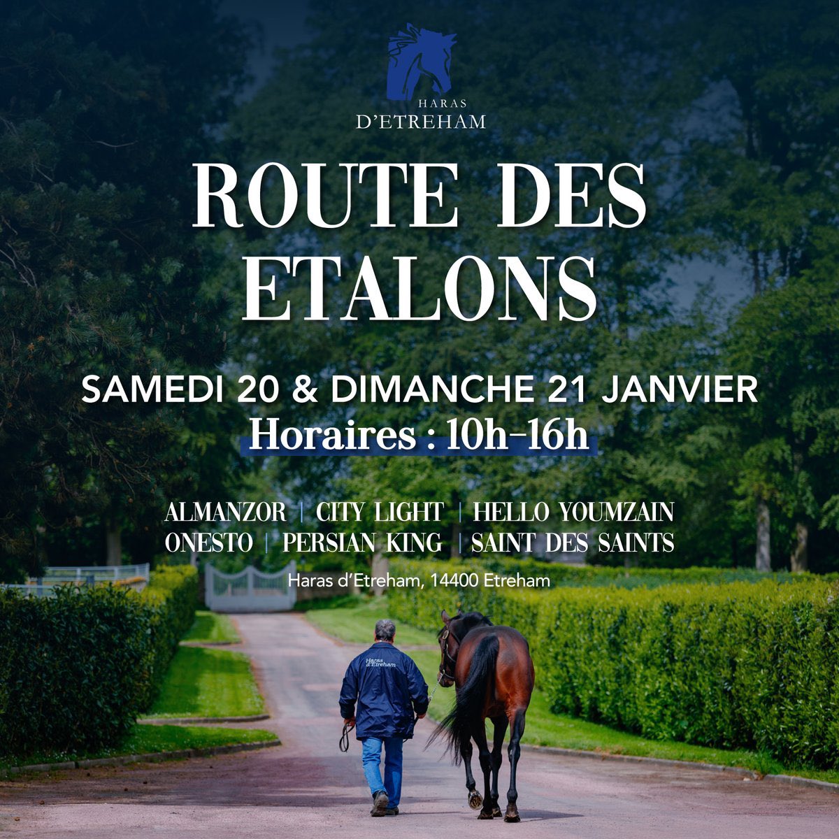 Join us on January 20 &amp; 21 from 10am to 4pm at Etreham for the Stallion Trail 2024, to discover our stallions #Almanzor, #CityLight, #HelloYoumzain, #Onesto, #PersianKing &amp; #SaintDesSaints ✨

☕️ Food-Truck on site all day!