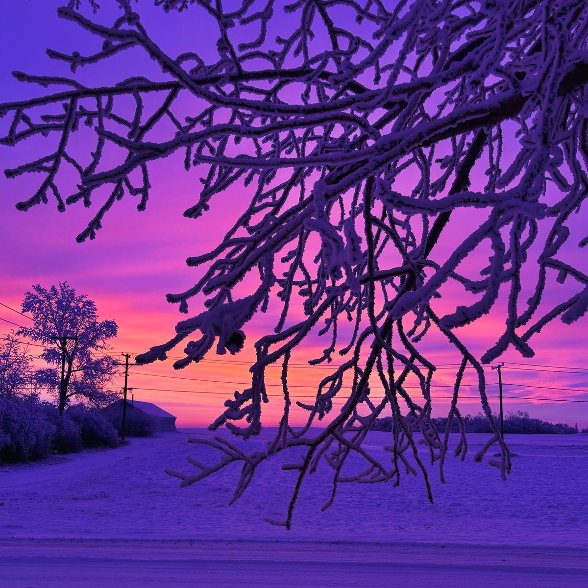 DayleCC's tweet photo. This was a sunrise a couple days ago, it’s a lovely reminder that winter is such a silent beauty at times 🌅 
.
.
#sunrise #saskatchewan #canada #winter #january #beautiful #countryliving https://t.co/Y2OfHCfik1