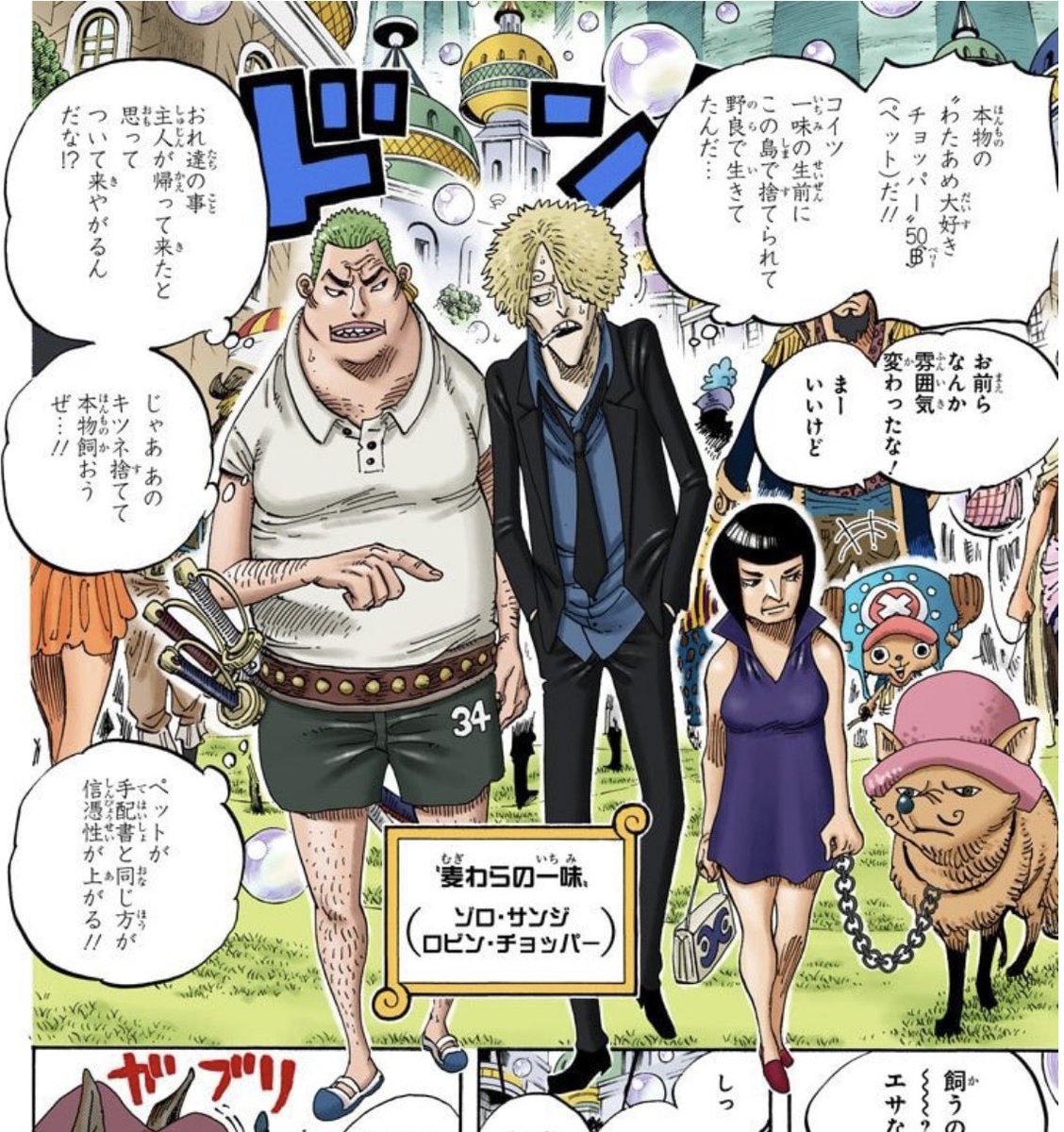 あまり役に立たない豆知識 ニセ麦わらの一味は手配書を参考に変装して