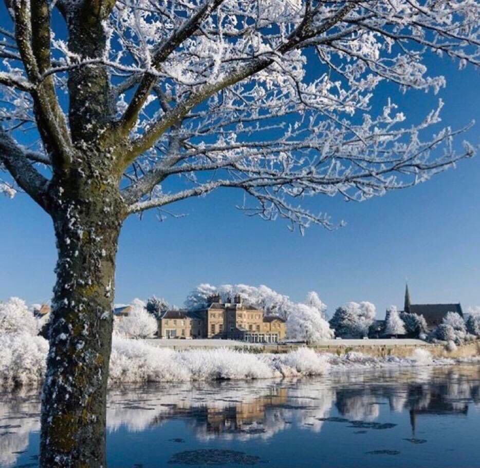 EdnamHotel's tweet photo. 📣Save 10% on all stays in our January Sales 📣
❄️🧣🧤🥾Crisp wintry walks, charming market towns and fireside feasting. A restorative break to Ednam House is just the tonic to banish the winter blues. 
🛎️Book Your Borders Break:  https://t.co/eIvDEeb2Cq https://t.co/MVcIE4ROAX