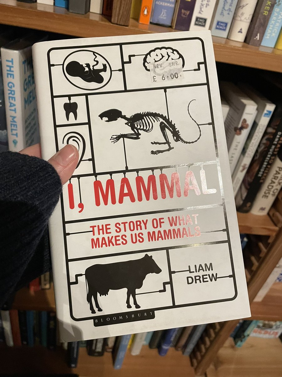 Spotted in @BeerwolfBooks (Cornwall’s coolest bookshop), the brilliant #iMammal by the brilliant @liamjdrew. Maybe next time I will find one of mine there 🤞🤞