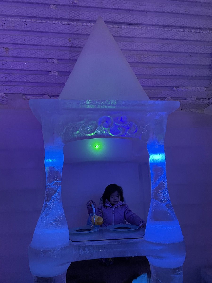 v_izumi123_v's tweet photo. 1/12。Chena Hot Springs Again。今日は日帰り。アイスミュージアムにも入った！うちの姫、Ice Castle があるのに大喜び！
自分の家だとみんなに言ってた。
#ChenaHotSprings #IceMuseum #Travelschoolers #年間300日おでかけ https://t.co/Q4Miw3hxPU