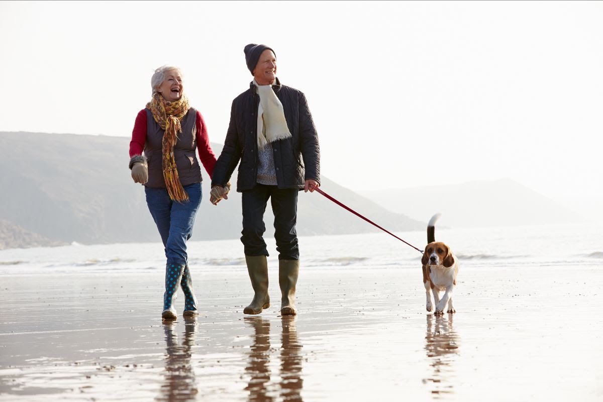 DoxfordHall's tweet photo. ��� Save 10% on all stays in our January Sales 📣
❄️🧤🧣🥾’Tis the season for frost nipped walks &amp; long lunches. Come for the dramatic landscapes or simply to relish time away indulging in top-notch cuisine &amp; spa pampering.
🛎️Book your Northumbrian Break: https://t.co/yfAMDkp7Q8 https://t.co/D11EWeVkIe