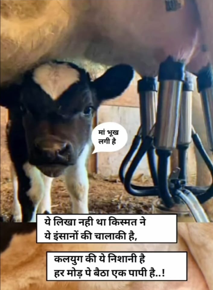 VishnuSauVs's tweet photo. #gomata #go 
#jaygomata 
#maa https://t.co/QfpzmmHTLE