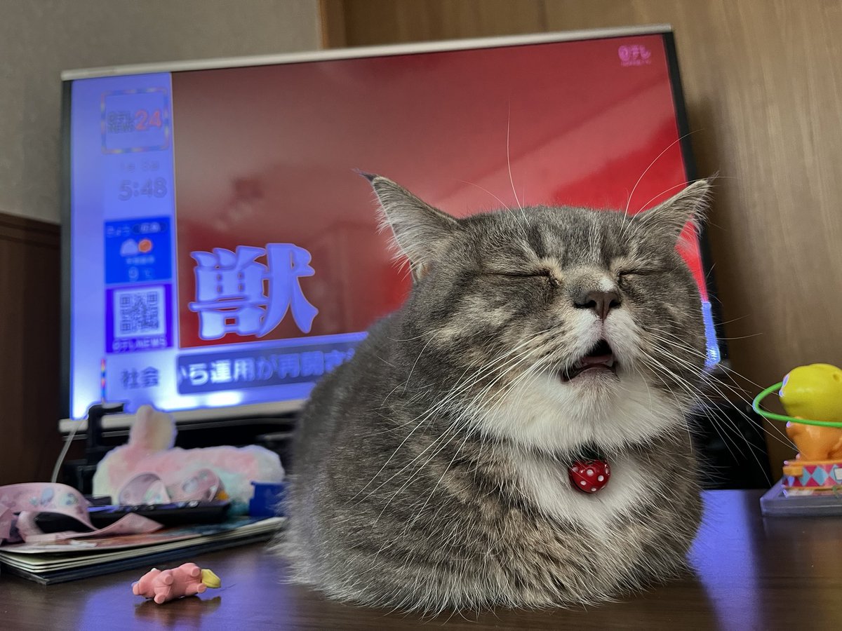 ram20210716's tweet photo. 獣…？ https://t.co/JlHtU3uD7S