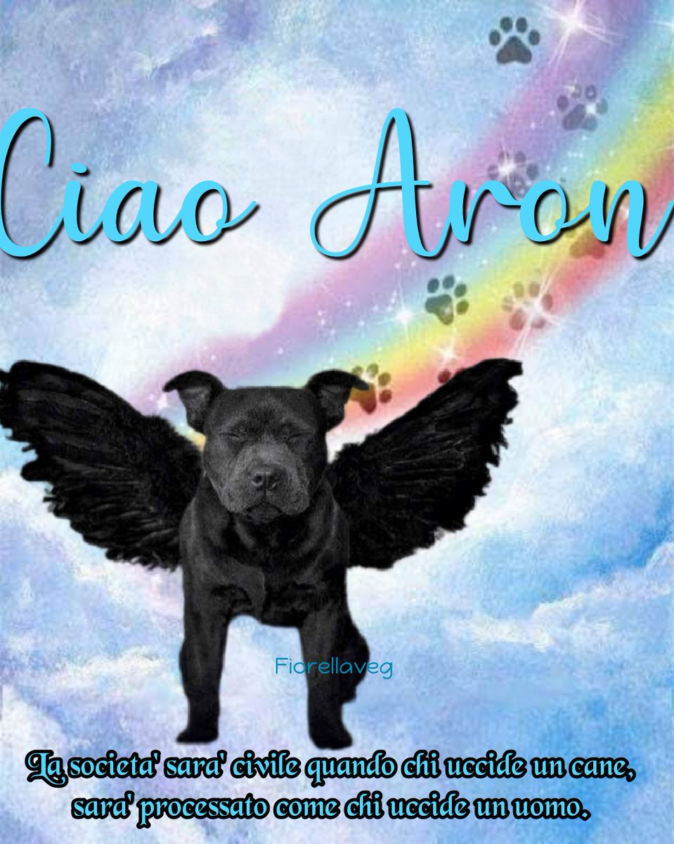 Verrà un tempo in cui considereremo l'uccisione di un animale allo stesso modo con cui consideriamo oggi quella di un uomo.

(Leonardo da Vinci)