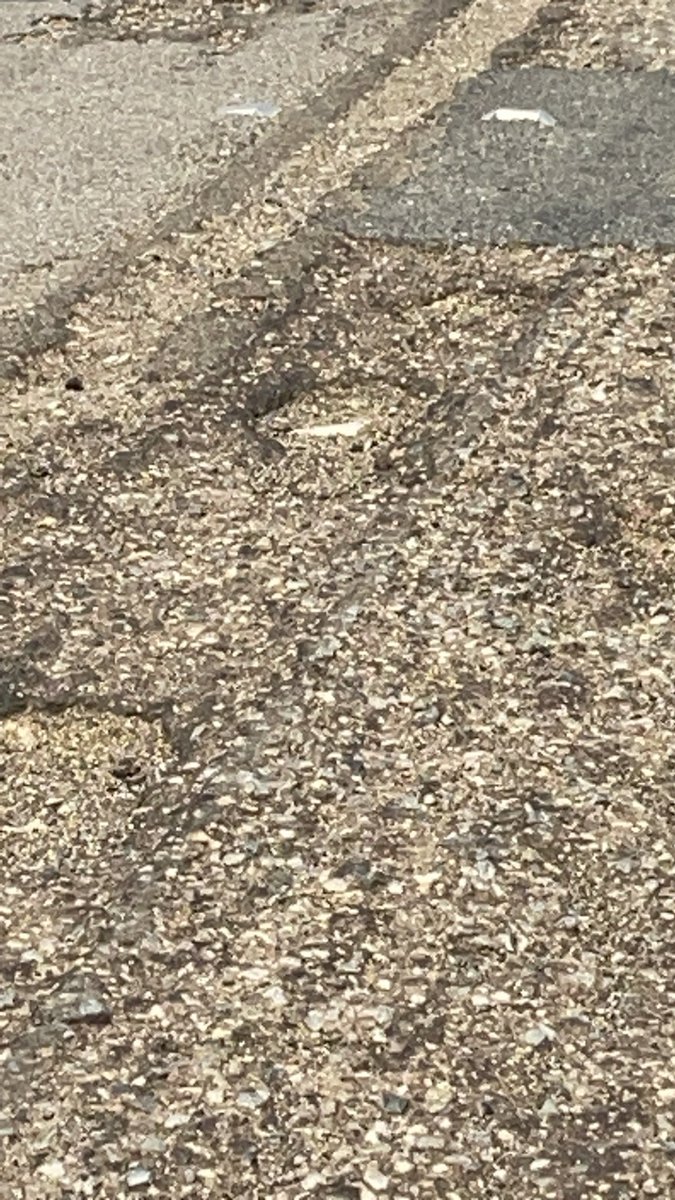 هـ ـلال الــ ــيــ ـزيـ ــدي tweet media