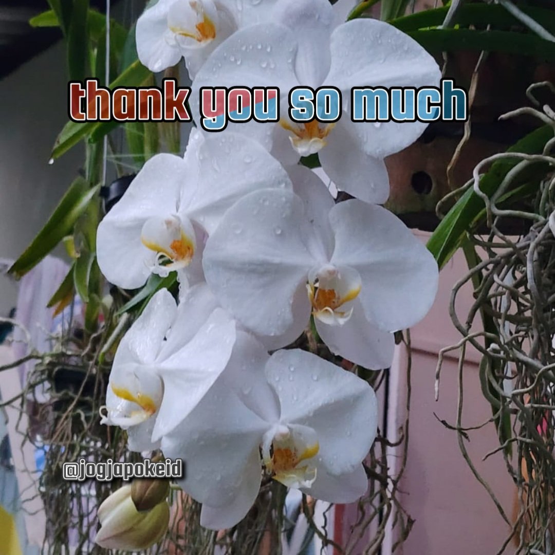 jogjapokeid (@jogjapokeid) on Twitter photo #TwFsClub
#F4F_Nusantara
thank you
โฉโฝdear <a href="/tadayokun73/">๐๐EzDo.ONE๐ฉ๐ โฝโปโฌ๏ฟค๏ฟค๐บ</a>
<a href="/nyagoroyorosik1/">nya-goro(ใใฃใผใดใญ)(=^x^=)/๐ฏ๐ต</a>
<a href="/jogjapokeid/">jogjapokeid</a>
@Alice_TwFsClub
<a href="/Gb_bish9e_1672/">G.B.Bishnoi</a>
<a href="/gdb_st/">Bidhog_St ๐ฎ๐ฉ</a>
<a href="/M_Angela_55/">Angela</a>
<a href="/MarcelaErcia/">๐MARCE๐โ #MarceTeAyuda๐ฎ#MarceLive๐ Meme y Popi</a>
<a href="/masterh2000/">Smใile</a>
<a href="/gebowid886/">ุตูุฑ</a>
<a href="/Gedibal7Likur/">Gedibal27</a>
<a href="/gelangbesi/">gelangbesi</a>
<a href="/Gendon2111/">Getuk</a>
<a href="/genduk93579505/">genduk</a>
@generasiunyu
<a href="/geniyocah/">geniyocah</a>
<a href="/GEORGIOSMORAIT5/">GEORGIOS MORAITIS</a> #TwFsClub
#F4F_Nusantara
thank you
โฉโฝdear <a href="/tadayokun73/">๐๐EzDo.ONE๐ฉ๐ โฝโปโฌ๏ฟค๏ฟค๐บ</a>
<a href="/nyagoroyorosik1/">nya-goro(ใใฃใผใดใญ)(=^x^=)/๐ฏ๐ต</a>
<a href="/jogjapokeid/">jogjapokeid</a>
@Alice_TwFsClub
<a href="/Gb_bish9e_1672/">G.B.Bishnoi</a>
<a href="/gdb_st/">Bidhog_St ๐ฎ๐ฉ</a>
<a href="/M_Angela_55/">Angela</a>
<a href="/MarcelaErcia/">๐MARCE๐โ #MarceTeAyuda๐ฎ#MarceLive๐ Meme y Popi</a>
<a href="/masterh2000/">Smใile</a>
<a href="/gebowid886/">ุตูุฑ</a>
<a href="/Gedibal7Likur/">Gedibal27</a>
<a href="/gelangbesi/">gelangbesi</a>
<a href="/Gendon2111/">Getuk</a>
<a href="/genduk93579505/">genduk</a>
@generasiunyu
<a href="/geniyocah/">geniyocah</a>
<a href="/GEORGIOSMORAIT5/">GEORGIOS MORAITIS</a>