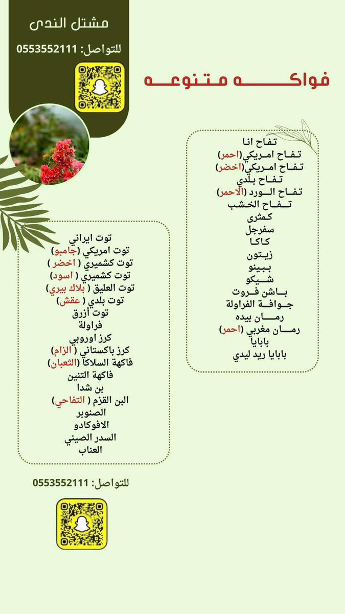 m_hashri's tweet photo. من أفضل أوقات الغرس 🪴🪴 تواصلوا معه
 
@mshtl_a https://t.co/Ly5sZFkoBu