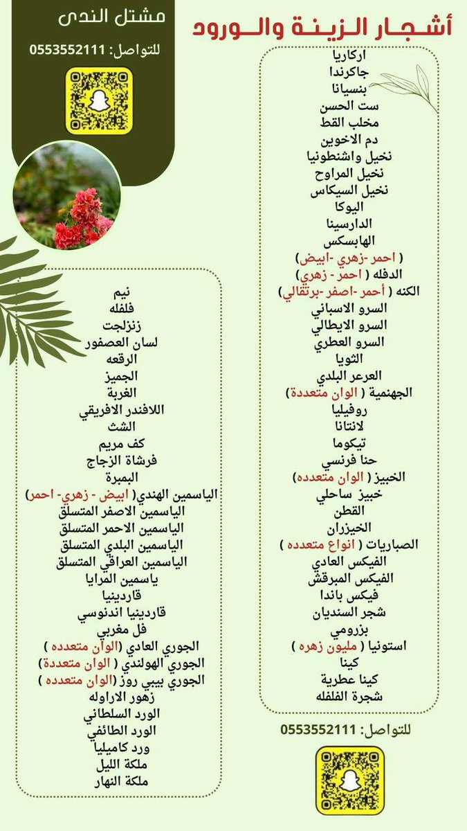 m_hashri's tweet photo. من أفضل أوقات الغرس 🪴🪴 تواصلوا معه
 
@mshtl_a https://t.co/Ly5sZFkoBu