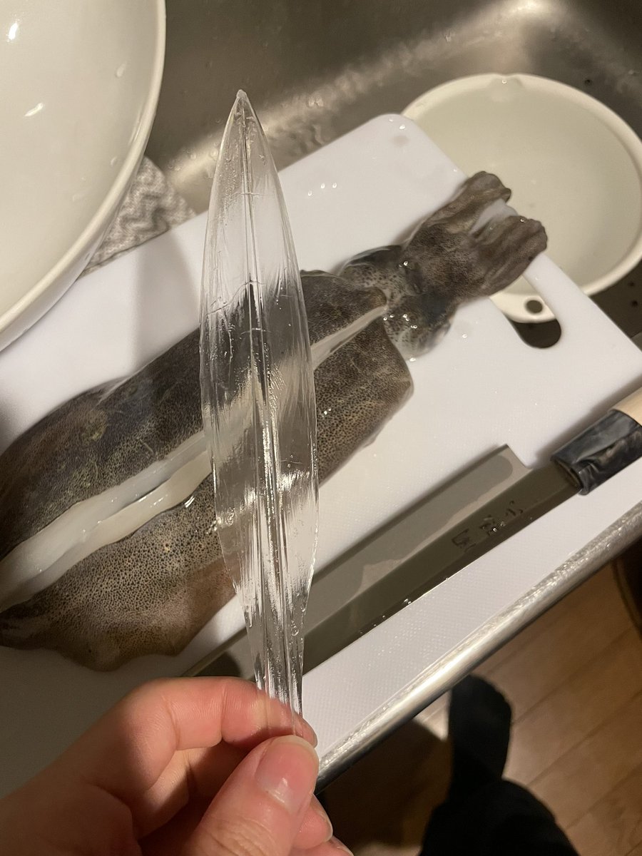 tipsofcoffee's tweet image. イカ捌いてたら出てきた。
海のプラスチック汚染まじで深刻だわ