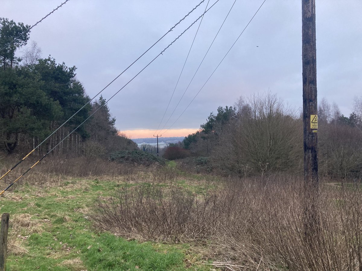 Early Saturday morning walk with <a href="/just_maz/">Marianne Avery</a> , Humphrey <a href="/MazMurphydog/">Humphrey The Lab</a> and George done - now time for coffee!