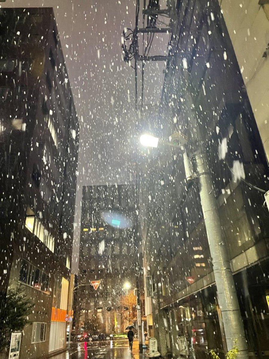 F_Maruto_staff's tweet photo. WHITE ALBUMの季節だ（もらい物 https://t.co/zBDWMTzND1