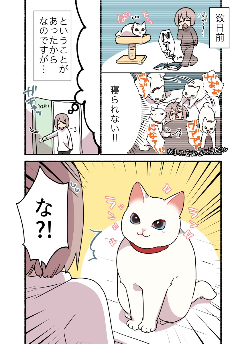 ❤️甘えんぼ猫🐈を夜中に起こしてしまった話😭 (1/2)  #漫画が読めるハッシュタグ #愛されたがりの白猫ミコさん コミックス発売中です👇 