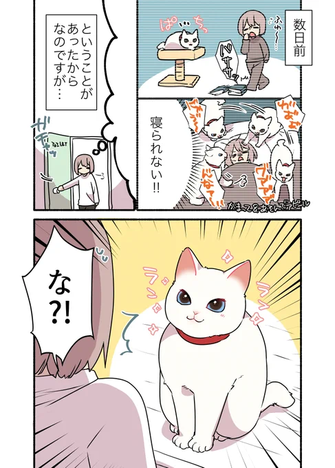 ❤️甘えんぼ猫🐈を夜中に起こしてしまった話😭 (1/2)  #漫画が読めるハッシュタグ #愛されたがりの白猫ミコさん コミックス発売中です👇 