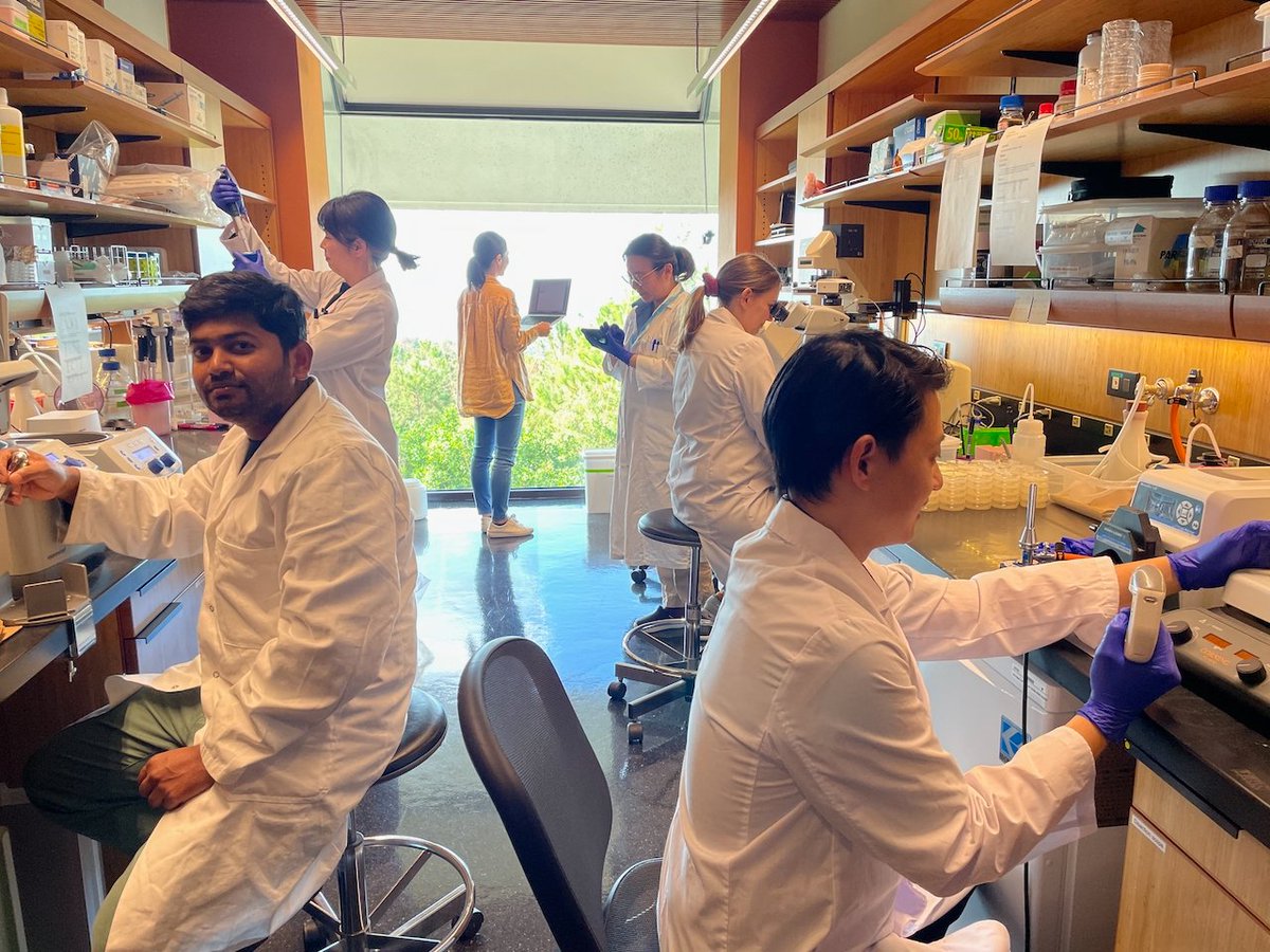 MeitingerOhta's tweet image. A new year and everybody is back in the lab. @Midori_RuruOta @Meitinger