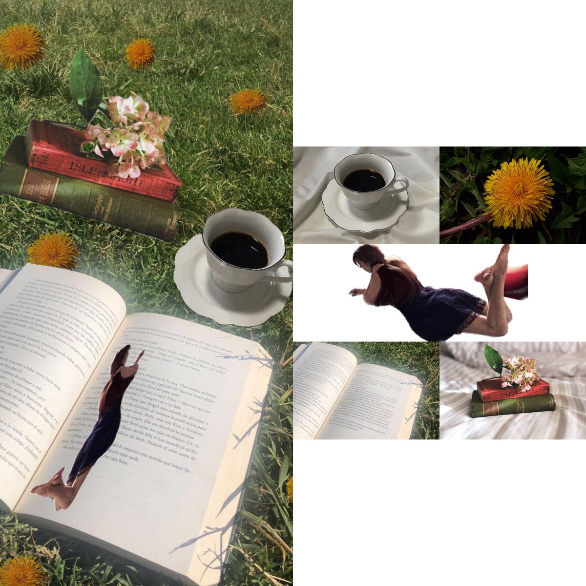Ensia_haidari's tweet photo. Photomontage for book lovers and nature🌼✨
-
-
-
#Graphic 
#GraphicDesign 
#photomontage 
#book 
#book_lovers 
#nature 
#afghanGirlsDesign 
#photoshop https://t.co/aznOcAKXka