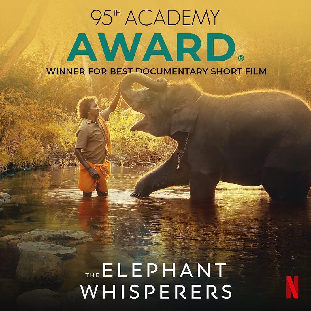 • R E L I V I N G  T H E  B O N D •

95th Academy Award Winner. 

Bomman and Bellie, a couple in South India, devote their lives to caring for an orphaned baby elephant named Raghu, forging a family like no other that tests the barrier between the human and the animal world.