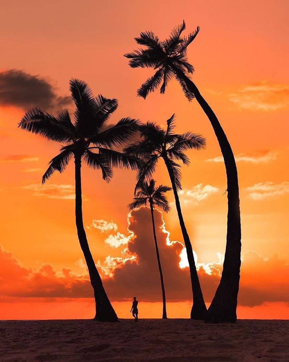 A fiery Hawaiian sunset to end the day 🌅 📸 nashhagen #hawaii #oahu #aloha #honolulu #maui #hawaiilife #luckywelivehawaii #travel #beach #hawaiistagram #kauai #love #waikiki #bigisland #ocean #hawaiian #nature #surf #photography #california #hilife #sunset #islandlife #instagood