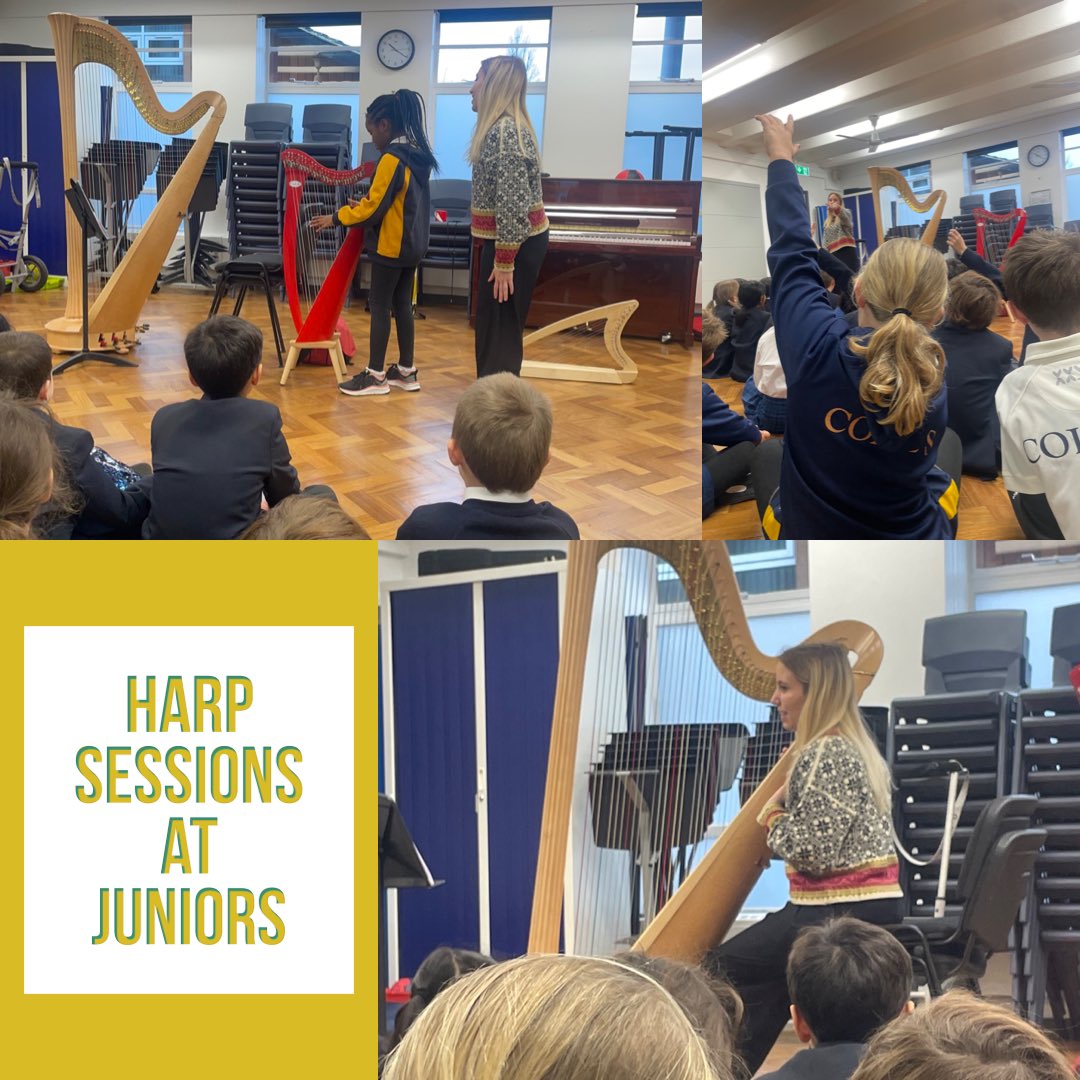 MCBonnar1's tweet image. We welcomed our new harp teacher yesterday ⁦@ColfesSchool⁩ #MusicMatters