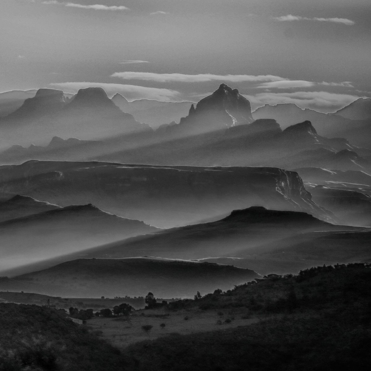 📍THREE TREE HILL : S P E C T A C U L A R light on the mountains after a storm...
.
#hiking #thisissouthafrica #drakensberg #livetoexplore #wedotourism #hikemzantsi #hikedrakensberg #africansafaricollective #NorthernDrakensberg #ExploreKZN #KZNTourism #Drakensberg #spionkop