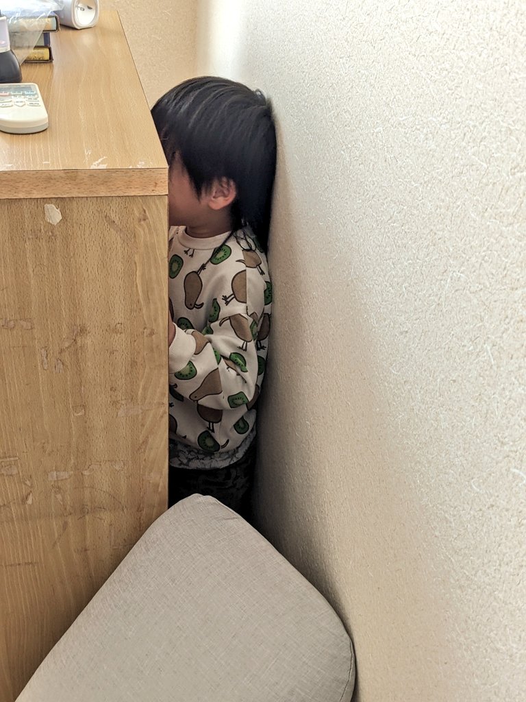 年始に実家に帰ったら部屋のタンスがずらされてて。

私「なんでわざわざ隙間開けてんの？」
母「え、孫たちが来るって言うから怪我しないようによ」
私「なんて？」
母「だって子どもは放っておくと部屋中走り回るけど、いい隙間があれば勝手にそこに嵌って大人しくなるから」
私「配慮の形が罠だよ」
