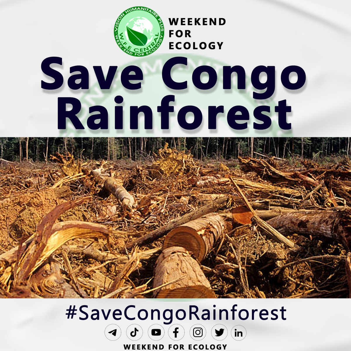 #SaveCongoRainforest
because the Congo Rainforest is vital in the figth for climate and social justice. 
#WeekendForEcology #ClimateEmergency  #ClimateActionNow